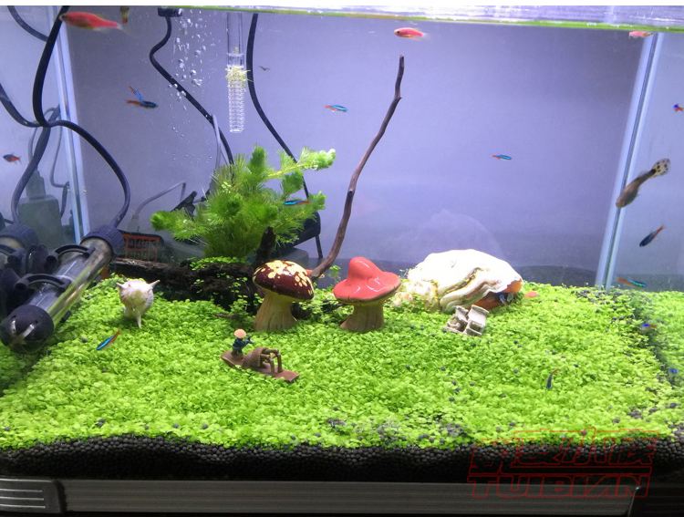 Aquarium