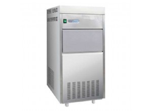 Ice maker