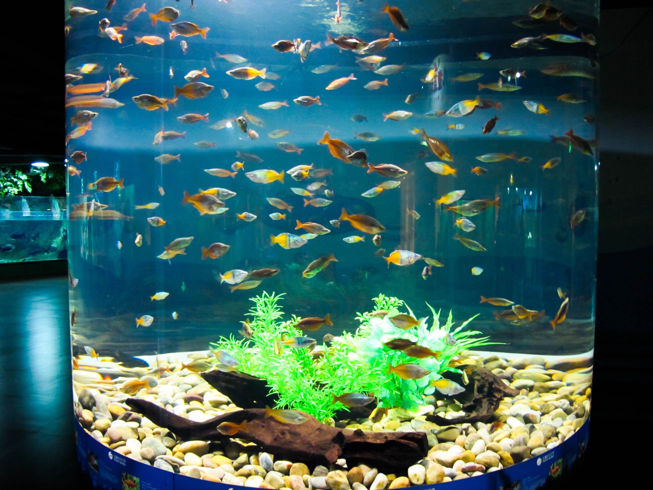 Aquarium